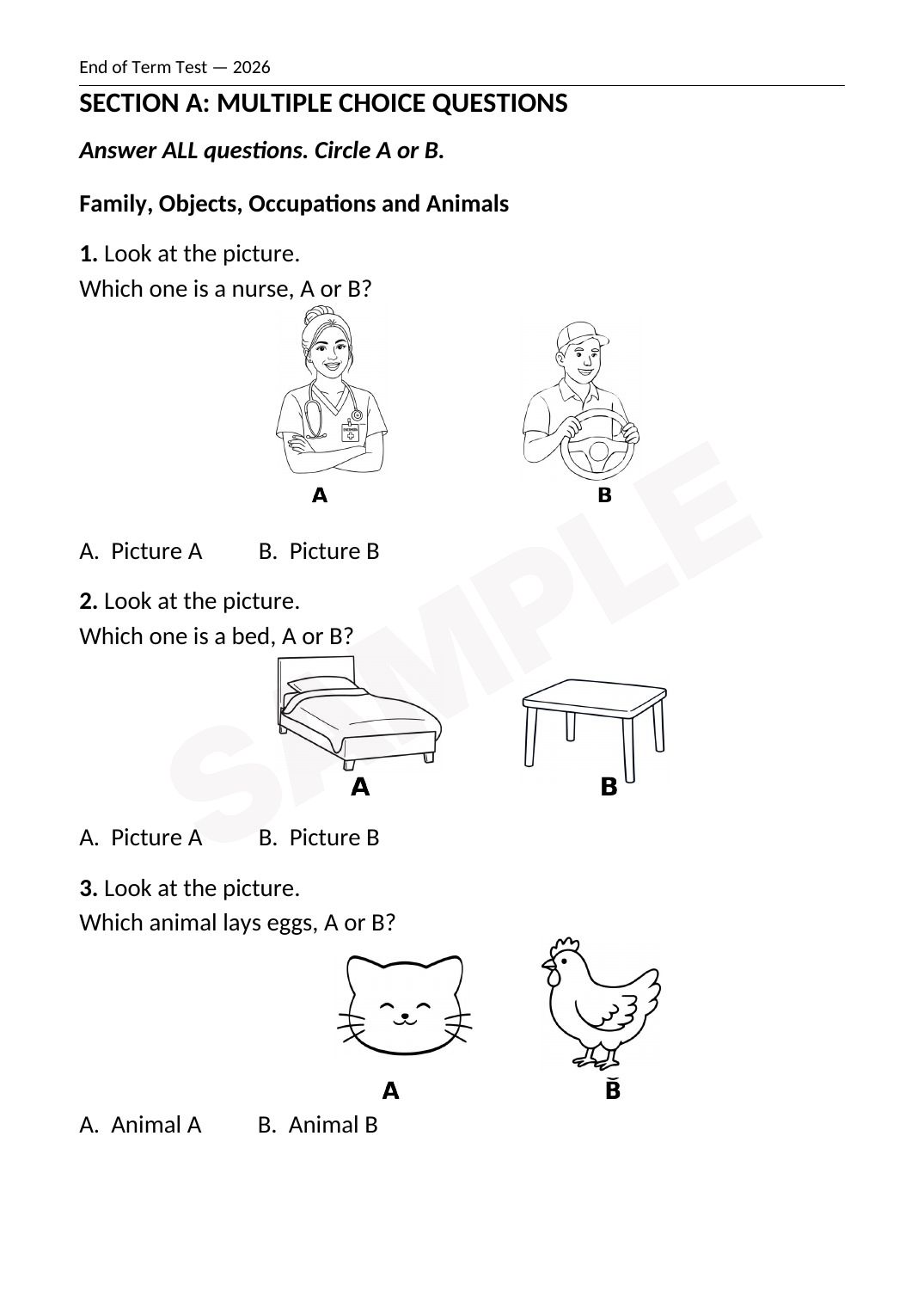 End of Term Assessments — ECE Reception (Level 2), Term 3 2026 (all 4 learning areas) — Sample page 4